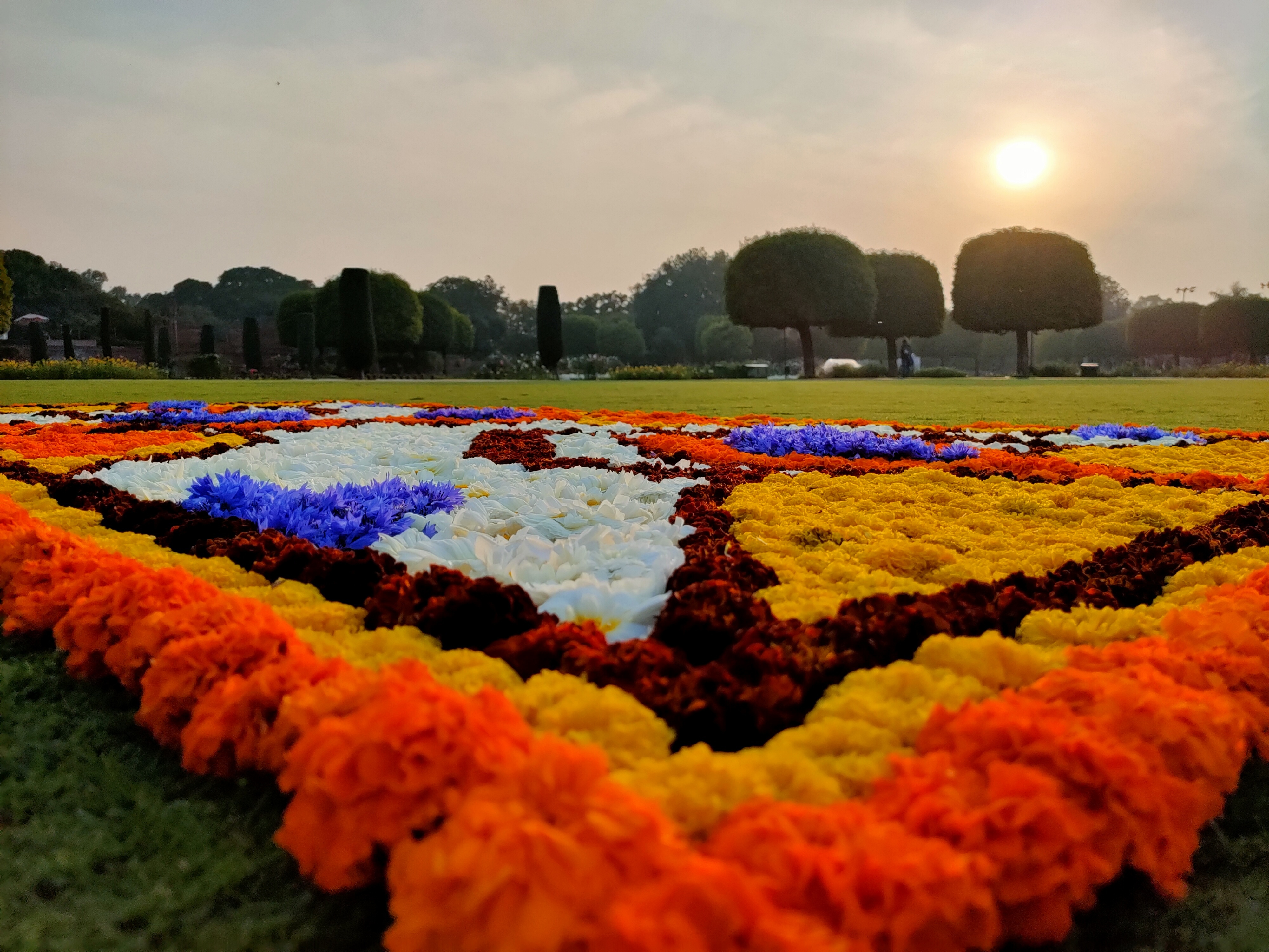 The sunset in the backdrop enhances the beauty of floral carpets created here. (Photo: Shivam Saxena/HT)