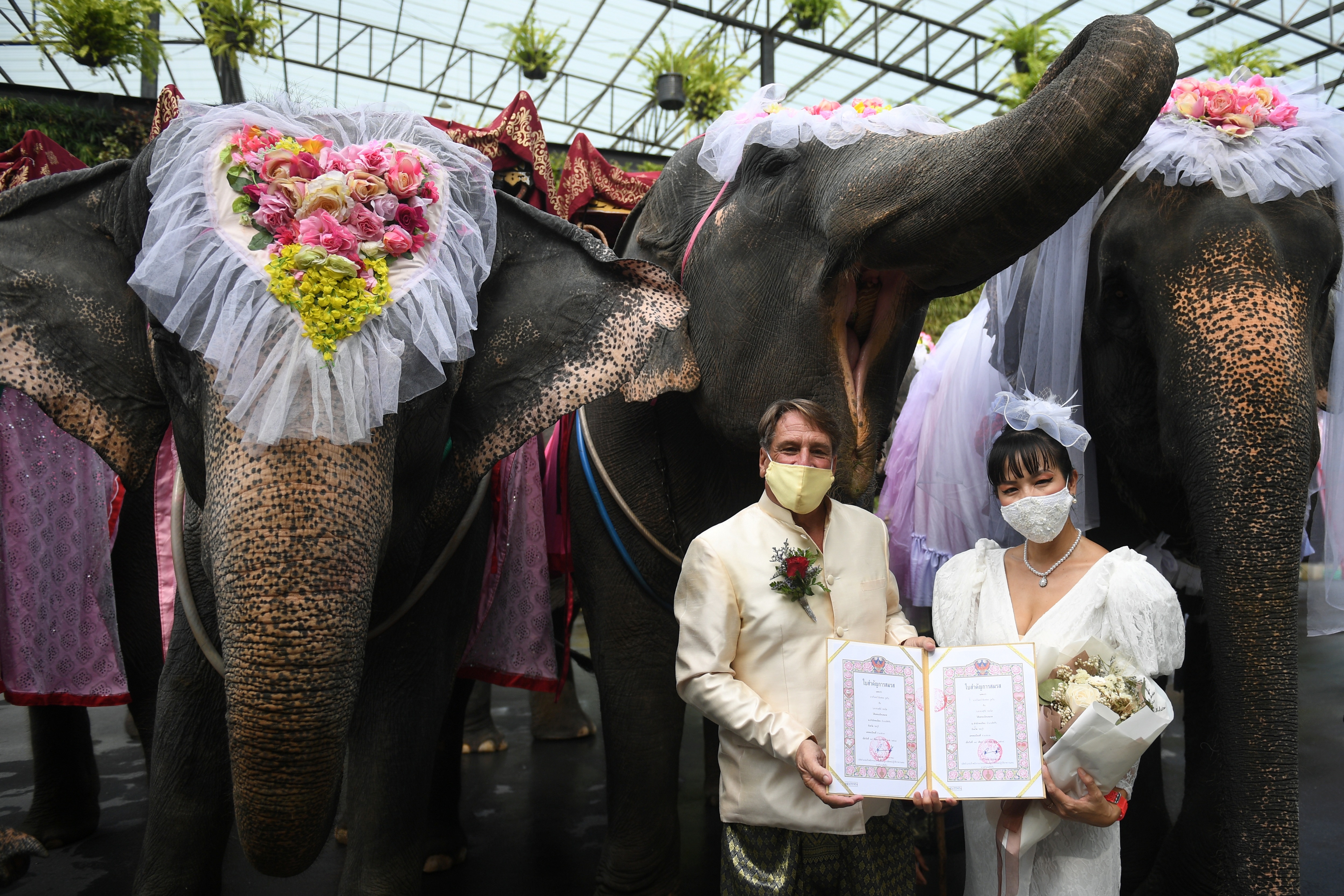 A couple poses with marriage certificates during a Valentine's Day celebration at the Nong Nooch Tropical Garden. (REUTERS)
