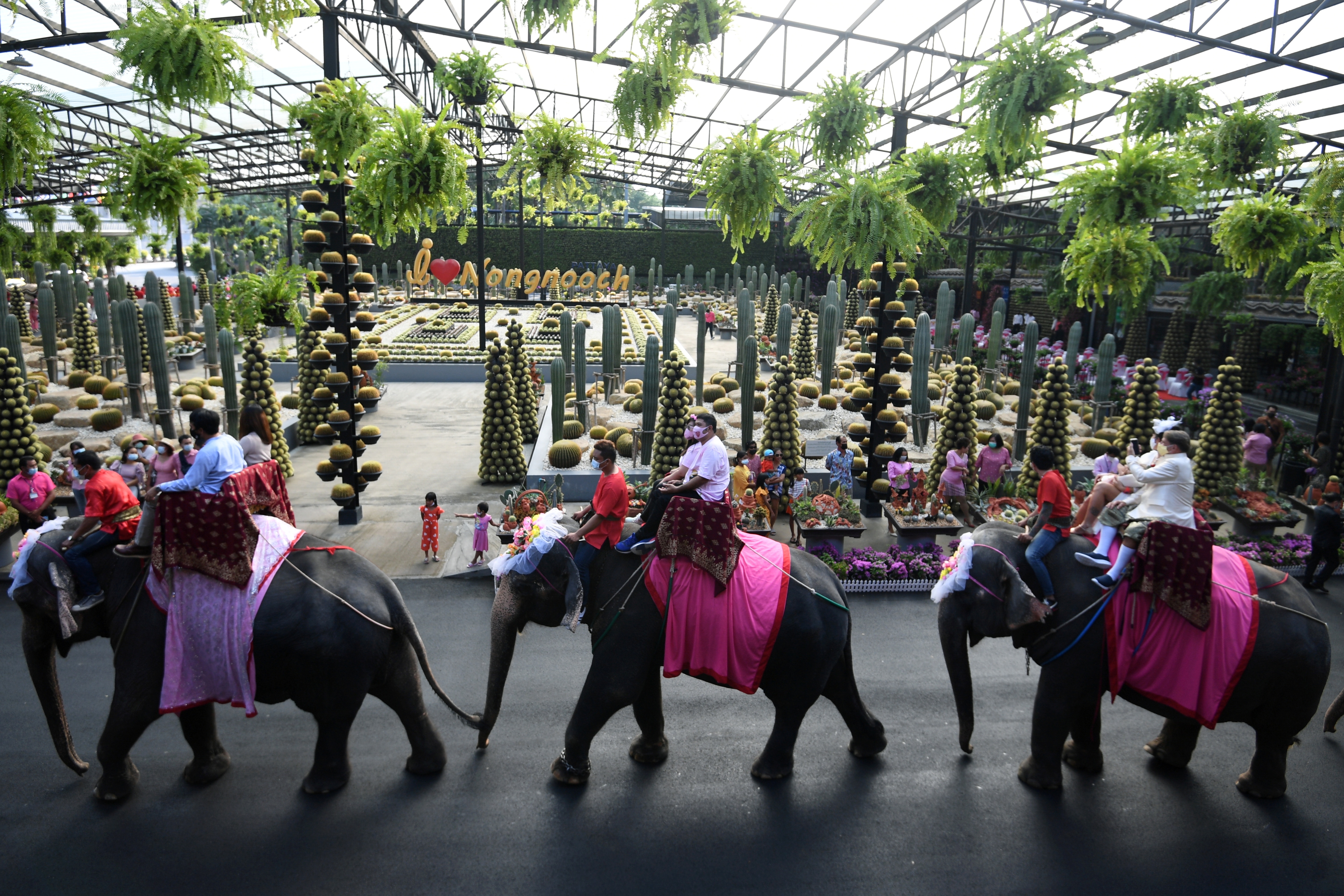 Couples ride elephants during a Valentine's Day celebration at the Nong Nooch Tropical Garden in Chonburi province, Thailand. (REUTERS)