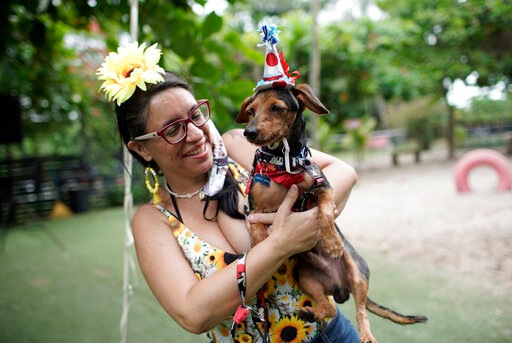 Boquino, dressed in a clown costume, is held by his owner during the annual dog Carnival parade in Rio de Janeiro, Brazil. (AP) Boquino, dressed in a clown costume, is held by his owner during the annual dog Carnival parade in Rio de Janeiro, Brazil. (AP)