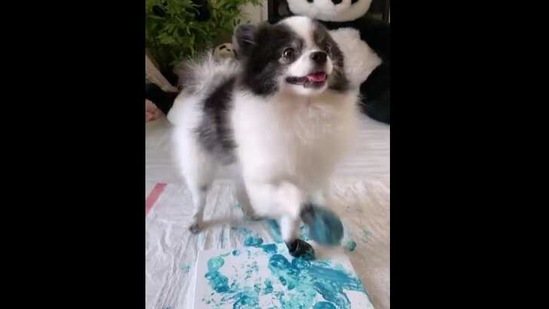 The image shows Huxley painting.(Instagram/@huxleythepandapuppy) The image shows Huxley painting.(Instagram/@huxleythepandapuppy)