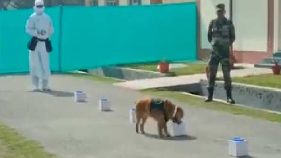 The Indian Army used three dogs, namely Jaya and Mani of indigenous Chippaparai breed, and a Cocker Spaniel called Casper, for the demonstration.(ANI) The Indian Army used three dogs, namely Jaya and Mani of indigenous Chippaparai breed, and a Cocker Spaniel called Casper, for the demonstration.(ANI)