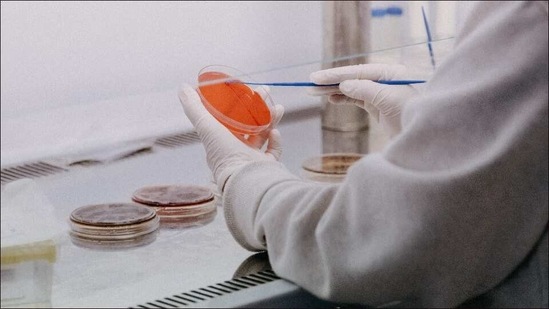 IIT Bombay study claims coronavirus survives longer on glass, plastic (Photo by Trnava University on Unsplash) IIT Bombay study claims coronavirus survives longer on glass, plastic (Photo by Trnava University on Unsplash)