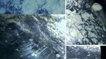 The discovery appears to go against all previous theories of what kind of life could survive in such an extreme condition.(British Antarctic Survey) The discovery appears to go against all previous theories of what kind of life could survive in such an extreme condition.(British Antarctic Survey)