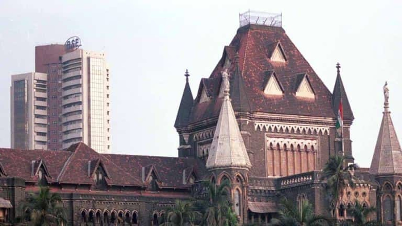 Toolkit Case: Bombay HC Grants Transit Anticipatory Bail To Shantanu ...