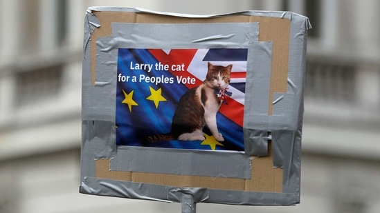 A demonstrator’s placard features a picture of Larry during a Peoples Vote anti-Brexit march in London on March 23, 2019. The former stray, adopted from London's Battersea Dogs and Cats Home, was given the title Chief Mouser to the Cabinet Office, an unofficial pest control post.(Kirsty Wigglesworth / AP)