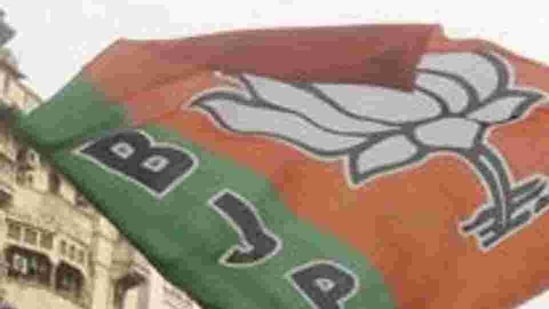 BJP flag. (File photo.) BJP flag. (File photo.)