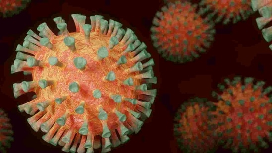 The study, published in the journal Infection, Genetics and Evolution, assessed the global spread of the coronavirus variant with the D614G mutation, which is the predominant lineage infecting North America and European populations.(Pixabay) The study, published in the journal Infection, Genetics and Evolution, assessed the global spread of the coronavirus variant with the D614G mutation, which is the predominant lineage infecting North America and European populations.(Pixabay)