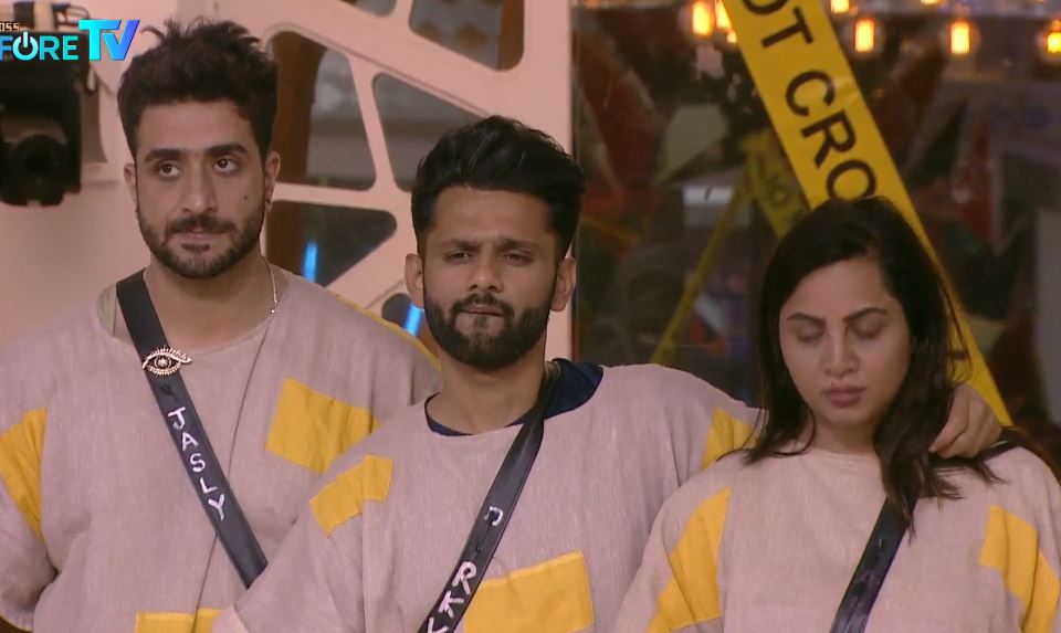Aly, Rahul and Arshi shared a good bond. (Colors)