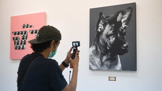 A man takes a photograph of paintings by graffiti artist "Headache Stencil" during the "112 the Exhibition" event at WTF Gallery and Cafe in Bangkok, Thailand, February 13, 2021. (REUTERS)