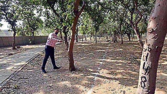 The residents have written to the land-owning agency to rework plans to minimise the damage to the green cover. (HT Photo) The residents have written to the land-owning agency to rework plans to minimise the damage to the green cover. (HT Photo)
