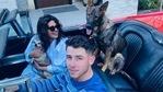 Priyanka Chopra and Nick Jonas with their dogs. Priyanka Chopra and Nick Jonas with their dogs.