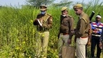 Police personnel at the site where bodies of two minor Dalit girls were found in a field on Wednesday evening, in Unnao district.(PTI Photo) Police personnel at the site where bodies of two minor Dalit girls were found in a field on Wednesday evening, in Unnao district.(PTI Photo)