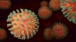 The researchers found that the spike protein mutation made the virus more resistant to being split by other proteins.(Pixabay) The researchers found that the spike protein mutation made the virus more resistant to being split by other proteins.(Pixabay)