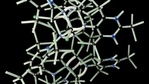 Until this discovery, the oldest genomic data recovered so far was from a horse specimen dated to 780–560 thousand years ago, the study, published in the journal Nature, noted.(Unsplash)