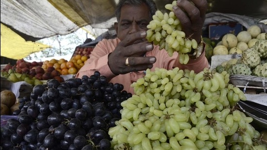 unnar festival is part of 20 small festivals through February and March organised by tourism department which will be held across six regions of the state - Pune, Nashik, Aurangabad, Nagpur, Konkan and Amravati. (Ravindra Joshi/HT PHOTO) unnar festival is part of 20 small festivals through February and March organised by tourism department which will be held across six regions of the state - Pune, Nashik, Aurangabad, Nagpur, Konkan and Amravati. (Ravindra Joshi/HT PHOTO)