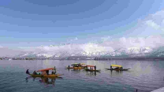 Shikara boats in Dal Lake in Srinagar, Jammu and Kashmir. (HT Photo)