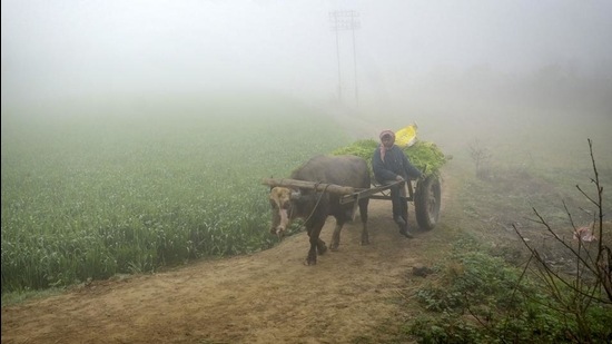 Minimum temperatures are above normal by 2-4°C over most parts of Gujarat, Jammu and Kashmiri, most parts of central and east India. (File photo) Minimum temperatures are above normal by 2-4°C over most parts of Gujarat, Jammu and Kashmiri, most parts of central and east India. (File photo)