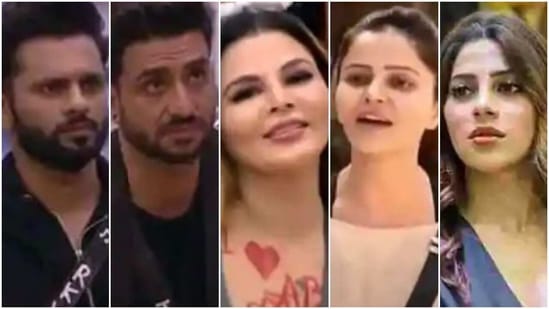 Rubina Dilaik, Aly Goni, Rahul Vaidya, Rakhi Sawant or Nikki Tamboli, who do you think should win Bigg Boss 14?