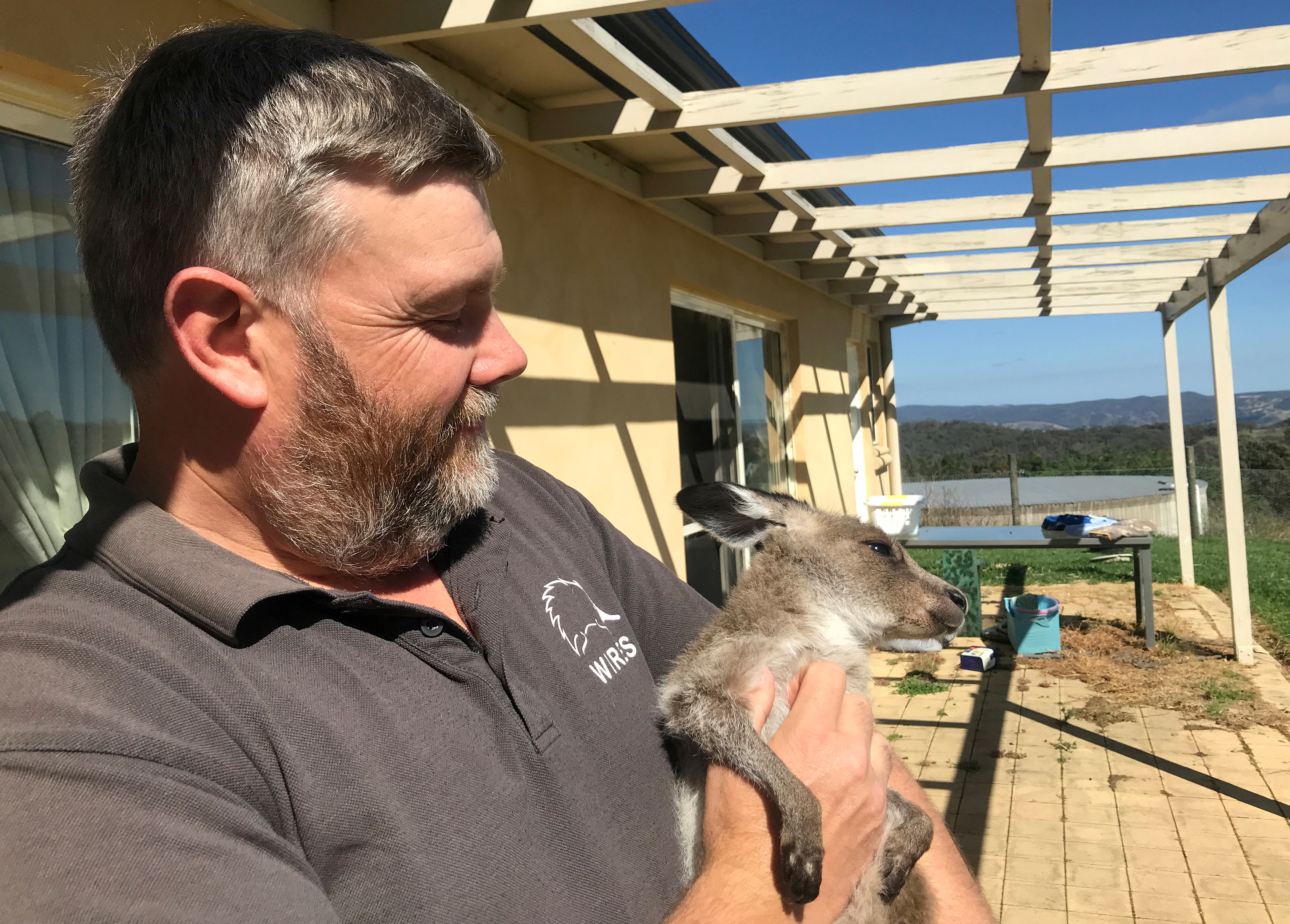 Wildlife Information Rescue and Education Service (WIRES) carer Matthew Jarrett holds Frankie, a rescued orphaned eastern grey kangaroo. (REUTERS)