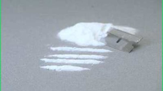 2 youth leaders from the BJP Yuva Morcha have been arrested with 100 gms of cocaine in Kolkata. (HT Archive/For representational purposes only) 2 youth leaders from the BJP Yuva Morcha have been arrested with 100 gms of cocaine in Kolkata. (HT Archive/For representational purposes only)