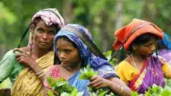 The decision comes six days after Congress leader Rahul Gandhi announced that if his party comes to power in the state it would hike wages from <span class='webrupee'>₹</span>167 to <span class='webrupee'>₹</span>365 daily. (Representative Image)(HT Photo) The decision comes six days after Congress leader Rahul Gandhi announced that if his party comes to power in the state it would hike wages from <span class='webrupee'>₹</span>167 to <span class='webrupee'>₹</span>365 daily. (Representative Image)(HT Photo)