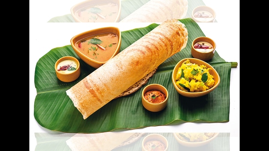 The love for a crisp dosa is not only driven by taste but also the texture it offers The love for a crisp dosa is not only driven by taste but also the texture it offers