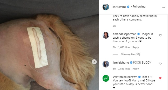 Fans comments on Chris Evans Instagram post (Instagram/chrisevans)