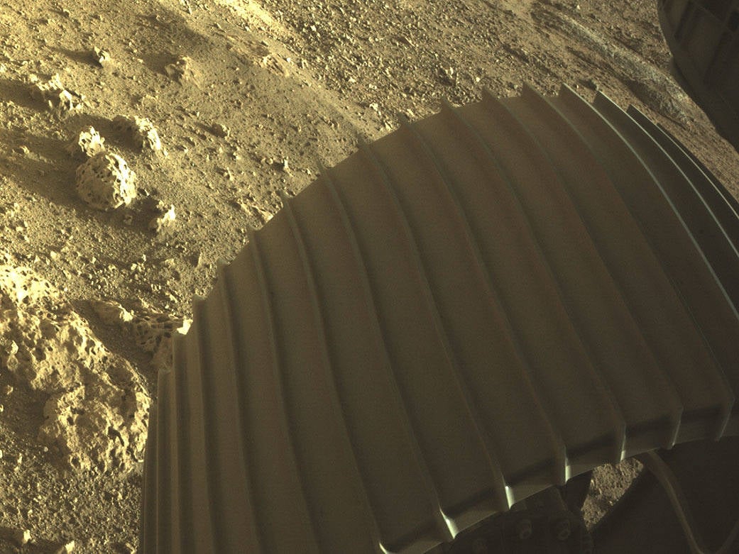 Perseverance’s big wheel(NASA/ JPL) Perseverance’s big wheel(NASA/ JPL)