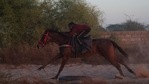 Fallou Diop, 19, a jockey, rides his horse during a training session on a field in Sangalkam, Senegal on January 28. 