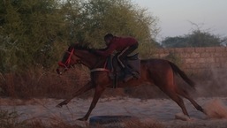Fallou Diop, 19, a jockey, rides his horse during a training session on a field in Sangalkam, Senegal on January 28. "When I start riding I get a bit stressed, but after a moment, it's over," Diop told Reuters. "At the time of the race, I'm only thinking of victory."