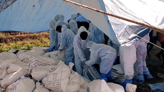 Culling of birds was done to prevent the spread of bird flu as H5N8 virus was reported in two districts of Kerala Alapuzha and Kottayam, in Alapuzha district in January. (ANI Photo )