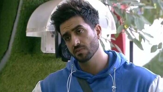 Aly Goni in Bigg Boss 14.(Colors)
