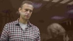 Kremlin critic Alexei Navalny, who is accused of slandering a Russian World War Two veteran, stands inside a defendant dock during a court hearing in Moscow, Russia.(Reuters)