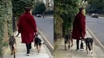 Priyanka Chopra takes a stroll with her dogs. Priyanka Chopra takes a stroll with her dogs.