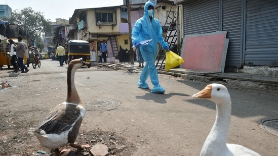 A health worker leaves a residential area after conducting swab tests for Covid-19 detection at Dharavi, in Mumbai, on February 19. The upward trend rides on the back of a sudden upsurge of cases in Kerala and Maharashtra. The Union ministry of health and family welfare has said that more than 74% of the active cases are concentrated in these two states.(Mitesh Bhuvad / PTI)