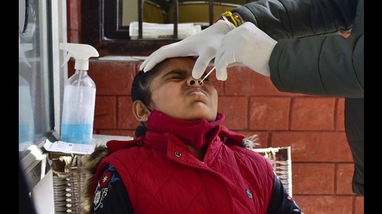 A swab sample being taken from a resident in Amritsar on Tuesday. (Sameer Sehgal/HT) A swab sample being taken from a resident in Amritsar on Tuesday. (Sameer Sehgal/HT)