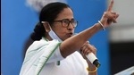 West Bengal chief minister Mamata Banerjee. (File photo)