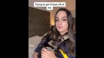 The image shows Chase the cat clinging to his human.(Instagram/@dontstopmeowing) The image shows Chase the cat clinging to his human.(Instagram/@dontstopmeowing)