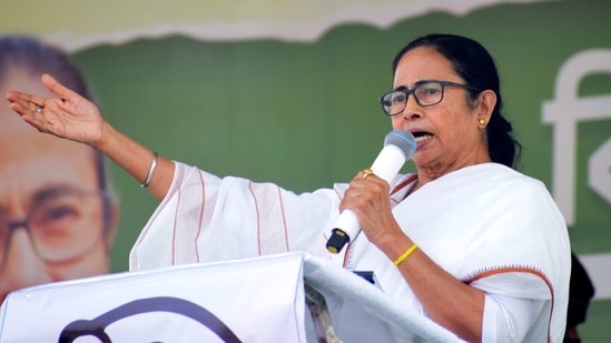Chief Minister Mamata Banerjee addresses at TMC rally, in Hooghly on Wednesday. (ANI Photo)