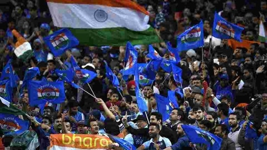 Indian fans cheer during cricket match. File(AP)