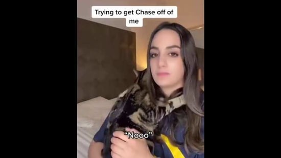 The image shows Chase the cat clinging to his human.(Instagram/@dontstopmeowing) The image shows Chase the cat clinging to his human.(Instagram/@dontstopmeowing)