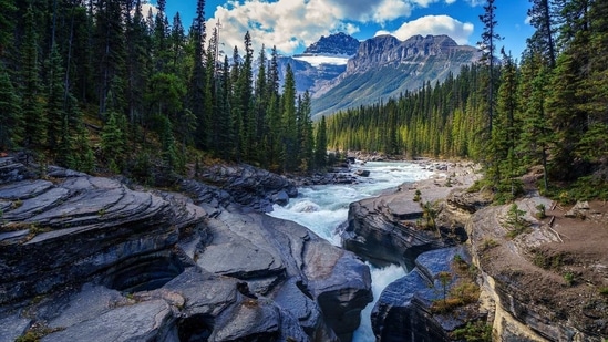 The Magpie River in northern Quebec, which runs nearly 300 km (186 miles), was granted the rights this week by the local indigenous council. (representational image)(Pixabay)