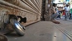 Around 40,000 trade associations have extended their support to the call for the bandh.(Ravindra Joshi/HT file photo) Around 40,000 trade associations have extended their support to the call for the bandh.(Ravindra Joshi/HT file photo)