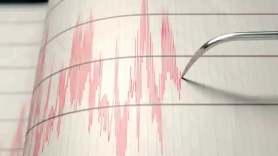 The depth of the earthquake was 30-km, the NCS said.(File photo. Representative image)