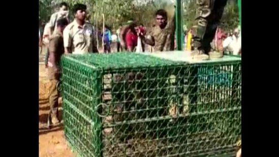 The image shows the officials with rescued bear.(ANI) The image shows the officials with rescued bear.(ANI)