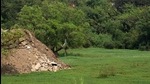 Cidco PRO says work of levelling the plot near the lake is in progress. (Bachchan Kumar/HT photo) Cidco PRO says work of levelling the plot near the lake is in progress. (Bachchan Kumar/HT photo)
