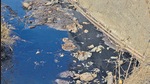 Polluted drain water on Dombivli MIDC road . (Rishikesh Choudhary/HT PHOTO) Polluted drain water on Dombivli MIDC road . (Rishikesh Choudhary/HT PHOTO)