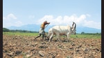 A farmer ploughs his fields under the relentless sun. (Shutterstock)