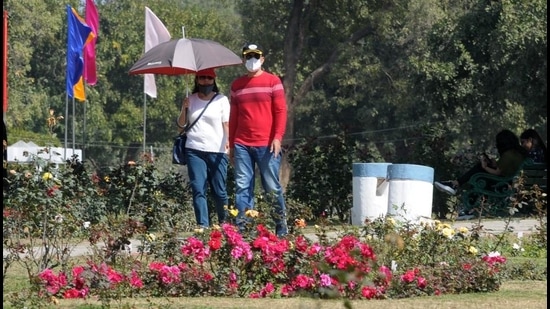 The high temperature was no deterrent for this couple visiting Rose Garden on the inaugural day of Rose Festival in Chandigarh on Friday. (Ravi Kumar/HT)